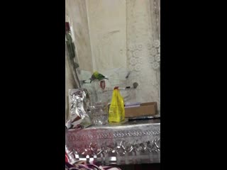 video brizel img 0415 mov sex