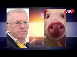 video жирная свинья старый осел ты воняешь sex