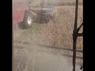 video 逼毛浓密淫骚大波网红多多小树林演绎西游记勾引师父唐憎啪啪被三个徒弟轮番性报复 vid 34221106 075737 396 mp4 sex