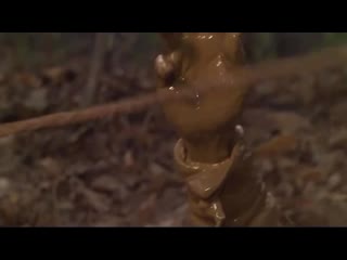 video жумонг сосоно сон иль гук хан хе джин sex