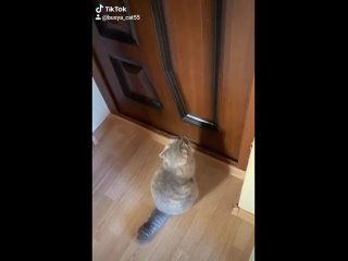 video пришлось выучить человеческий sex