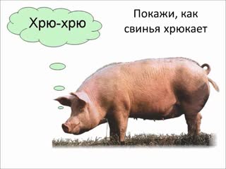 video свинья домашнее молодые sex