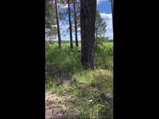 video слежка за мужем детективное расследование жены sex