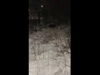 video 高颜值性感美女洗澡都这么骚气故意挑逗把下面洗干净然后大震动器加肉棒把骚穴搞的淫水泛滥叫的诱人完整版 img 0753 mov sex