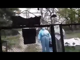 video пришельцы требуют сдать тест на вирус силавправде sex