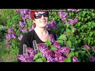 video любительские фото под музыку гнатюк николай малиновый звон picrolla sex