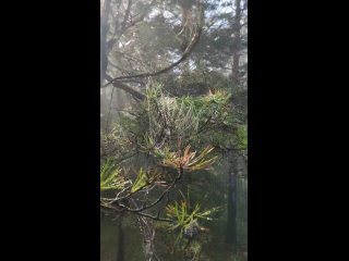 video sedap vid 20210719 090701 mp4 sex