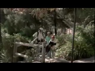 video жайме jaime антонио педро васконселос antónio pedro vasconcelos 1999 г sex