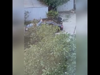 video возвращайтесь пожалуйста живыми sex