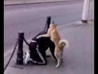 video пес трахает своего хозяина в попу sex