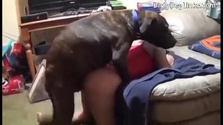 video received 393511013634616 mp4 sex