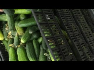 video алена пискун нашла хуй старика в супермаркете в минске sex