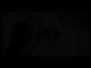 video хачи пиздят белых кааз сила порно фашисты фашисты ебут сперма чурки черные даги sex